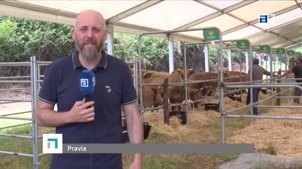 En ruta por Piloña (Viernes, 16-06-2023)