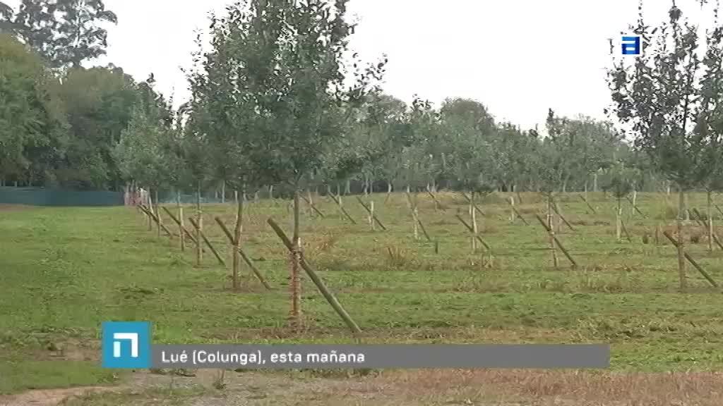 Nuestros platos de Gijón (Jueves, 15-09-2022)