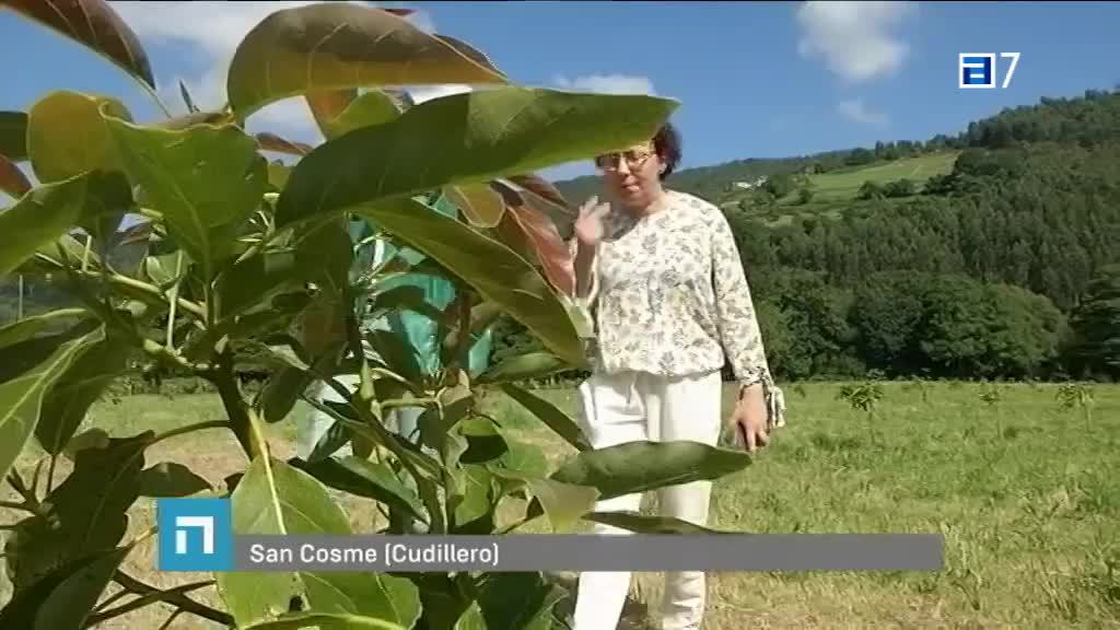 Nuestros platos de San Esteban de Pravia (Jueves, 07-07-2022)