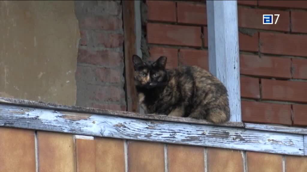 Vida en el pueblo, Tudela Agüeria (Viernes, 05-01-2024)