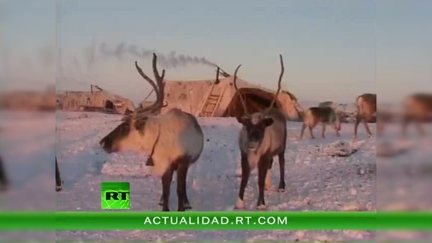 2010-12-10 - VIVIR EN CHUKOTKA