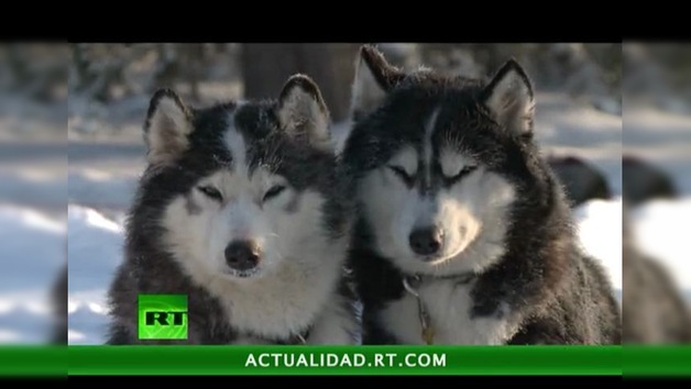 2011-12-30 - El reino blanco de Rusia
