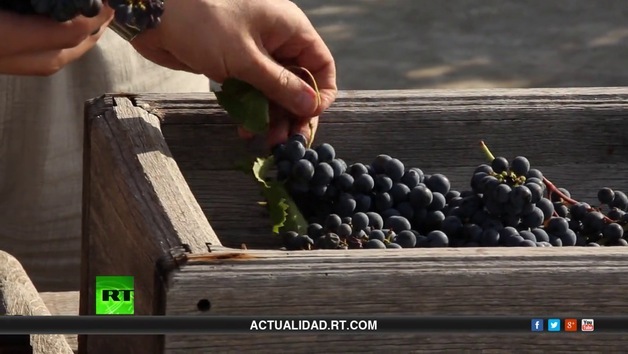 2014-06-12 - Descubriendo Rusia: La ciencia de hacer vino