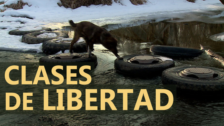2016-03-11 - Clases de libertad
