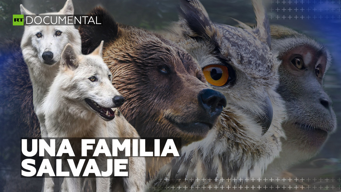 2020-12-30 - Una familia salvaje