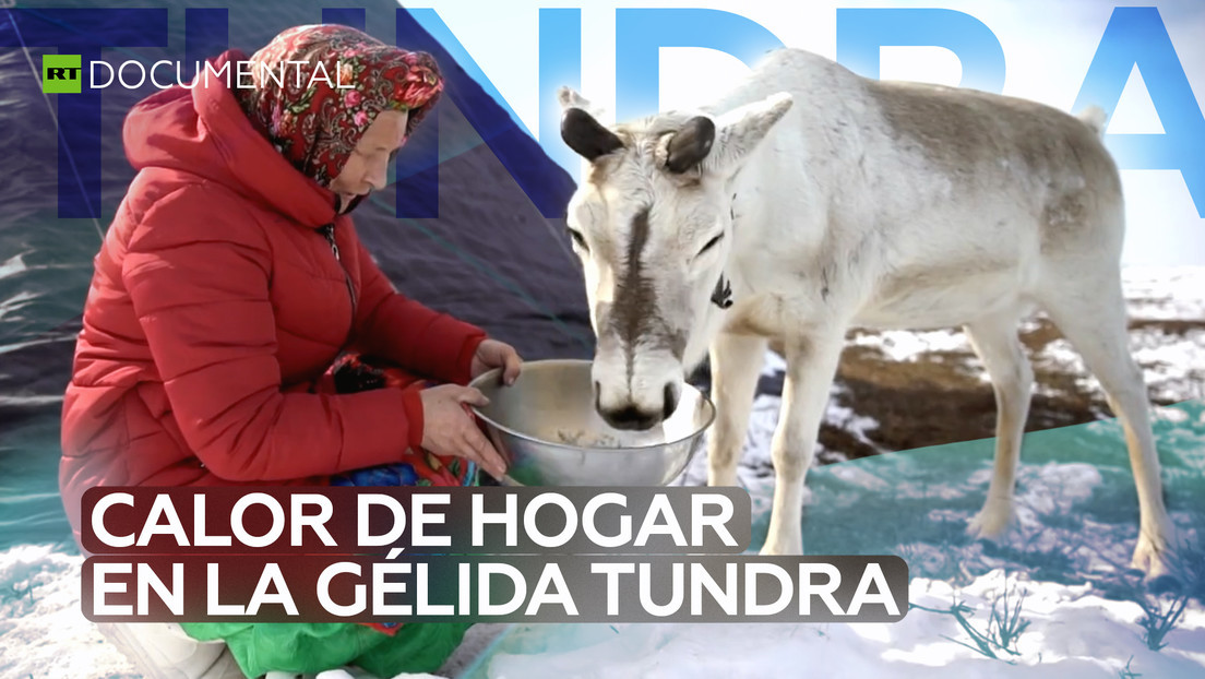 2021-02-14 - Amas de casa de la tundra: guardianas del calor del hogar en el gélido norte