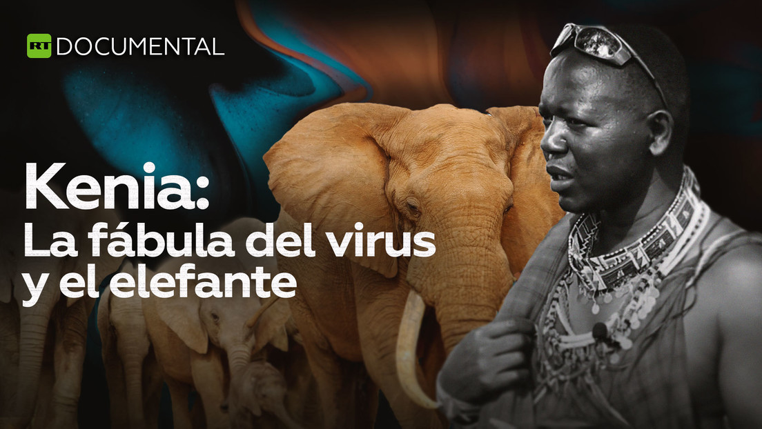 2021-09-08 - Kenia: La fábula del virus y el elefante