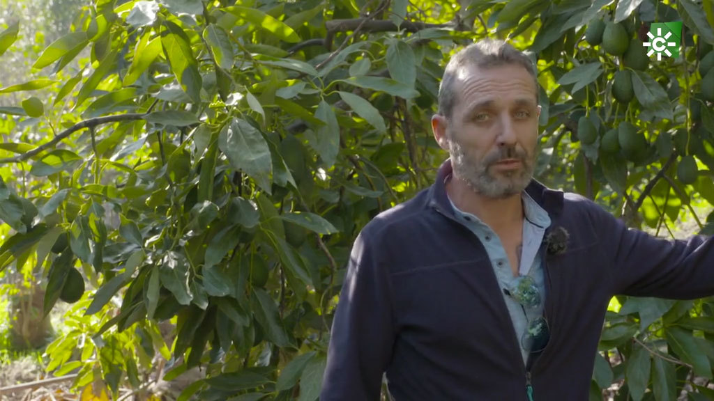 Un agricultor de Granada y unos emprendedores ecológicos de Cádiz (10/03/2020)