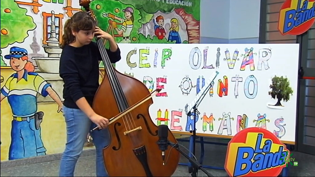 Colegio Olivar de Quinto, Dos Hermanas (Sevilla) I (16/02/2019)
