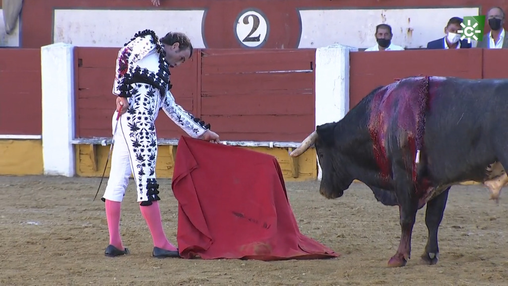 Toros desde Cabra (Córdoba) (29/08/2021)