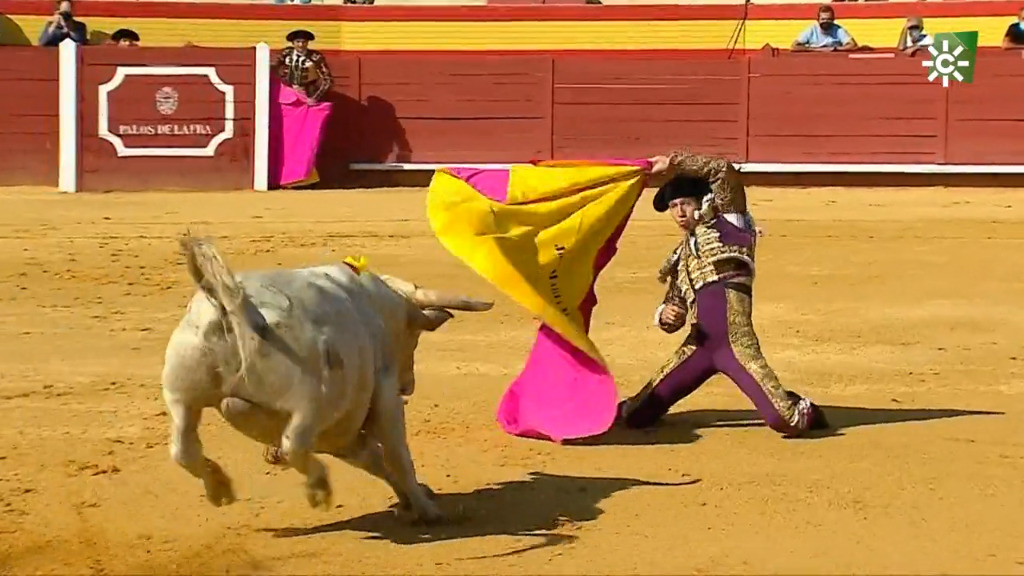Toros desde Palos de la Frontera (05/06/2021)