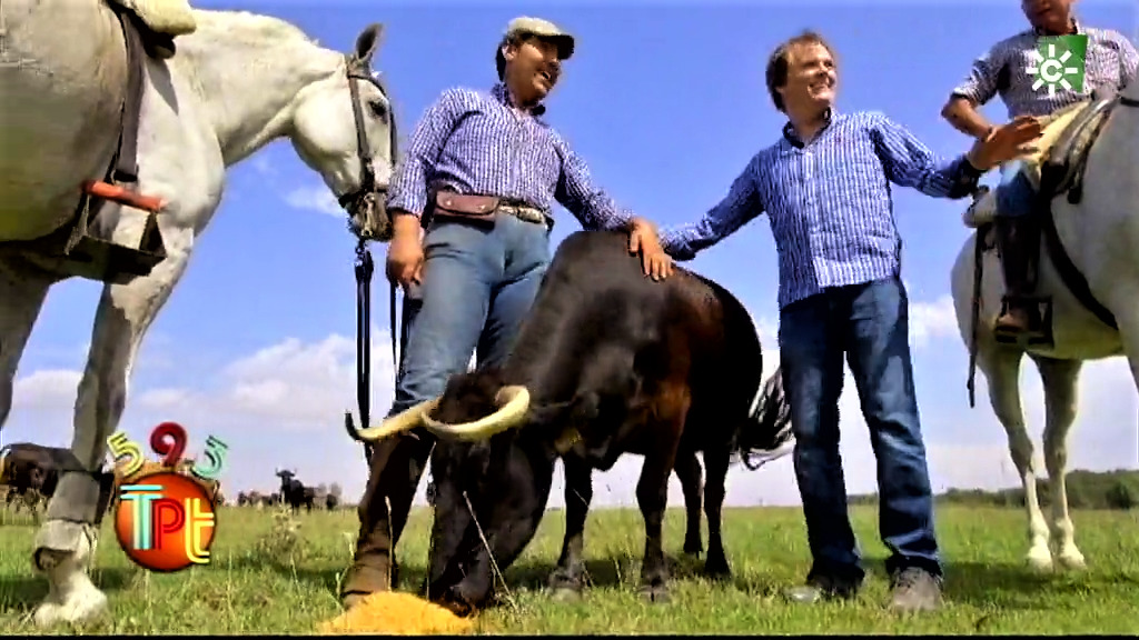 Toros Para Todos La Convivencia Del Toro Y El águila Imperial 18042021 Canal Sur 8744