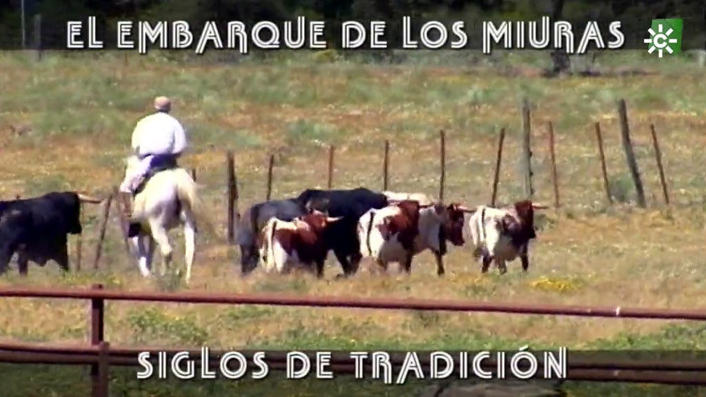 Momento mágico en la ganadería de Miura (14/03/2021)