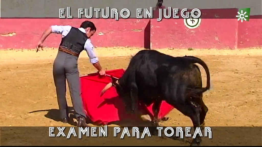 Selección para el Ciclo de Novilladas (02/05/2021)