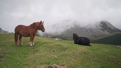 Bizkaia, mar y montaña