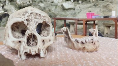 Arqueología internacional