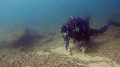 Bayas, un sueño bajo el mar