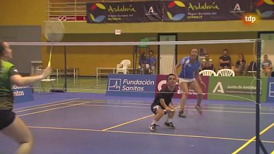 Campeonatos de España absoluto y parabádminton