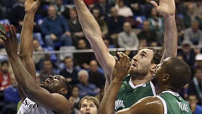 Baloncesto - Liga ACB. 17ª jornada. Unicaja-Bilbao Basket