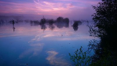 Episodio 3: Aguas superficiales. Donde siempre regresa la naturaleza