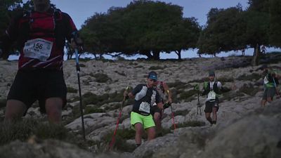 Trail - Mallorca 5000