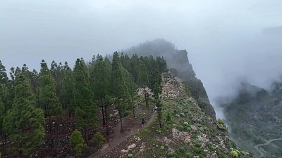 Trail - Transgrancanaria. Prueba Classic (128km)