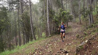 Trail - Ultra Trail Bosques del Sur 2021