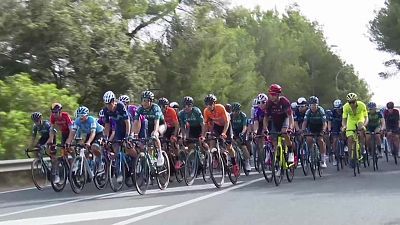 Campeonato de España carretera Profesionales, Elite y Sub-23