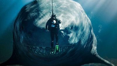 La película de la semana - Megalodon 2. La fosa
