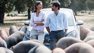 Sesión de tarde - Un verano en Salamanca