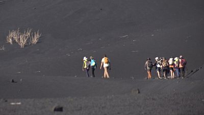 Renacer de las cenizas