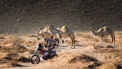 2024 - Etapa 11: Al Ula > Yanbu - Resumen de la jornada