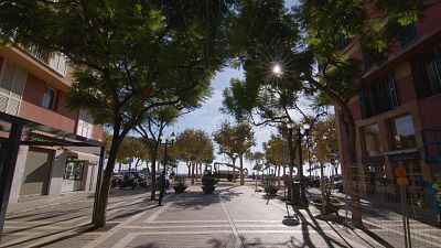 Sant Feliu de Guíxols, Siurana, Lleida i Barcelona