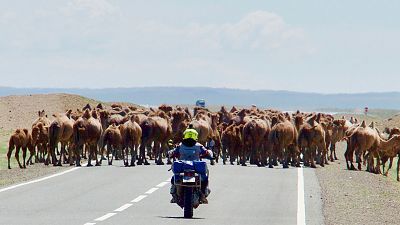 Las huellas de Gengis Khan: Navegando la infernal estepa de Mongolia