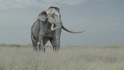 Somos documentales - El regalo de los glaciares. Como las edades de hielo