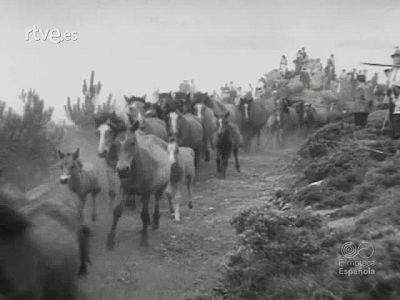 RESUMEN DE LA ACTUALIDAD ESPAÑOLA EN 1956