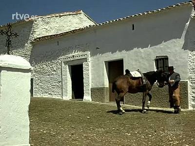 ROMERIA DE LA VIRGEN DE LA PEÑA