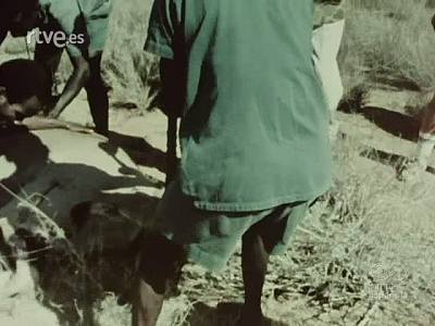 SAFARI EN KENIA
