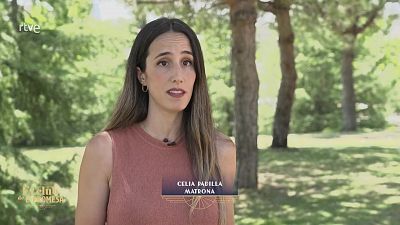 Programa 26