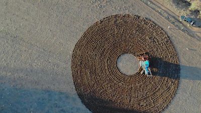 Arte en la Tierra