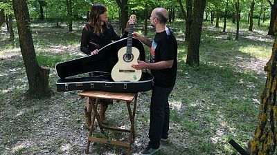 La música del olmo