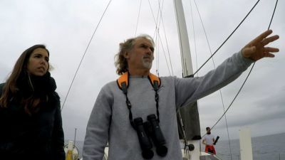 Mar de impactos