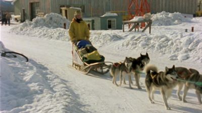 (Serie canadiense) - Iditarod. 1000 millas sobre hielo I