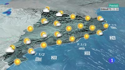 14/08/23 - El sol i la calor continuen imposant-se