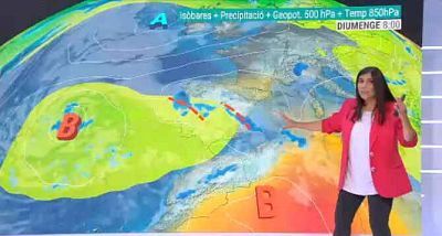 Cap de setmana de sol, caloreta i amb la terra regada