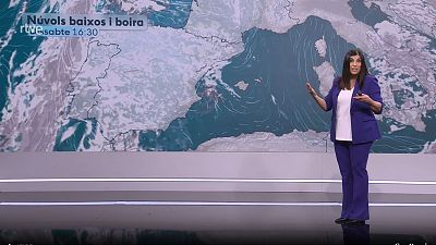 Dissabte gris, humit i fred. Diumenge, primaveral