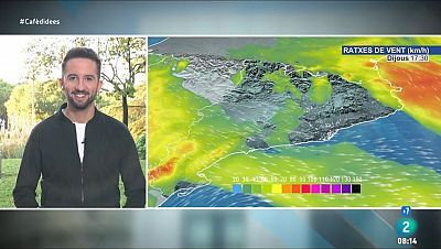 Fortes ventades i ambient de tardor després de la pluja