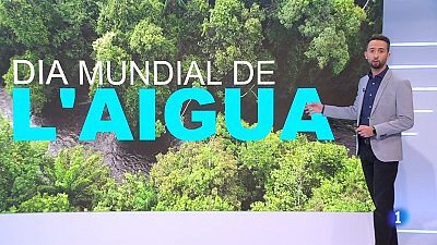 Sequera, sense pluja a la vista en el Dia Mundial de l'Aigua