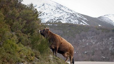 Aviso amarillo en 13 comunidades este viernes