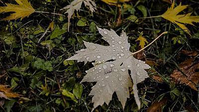 Cielo nuboso y precipitaciones en el oeste de Galicia y la península